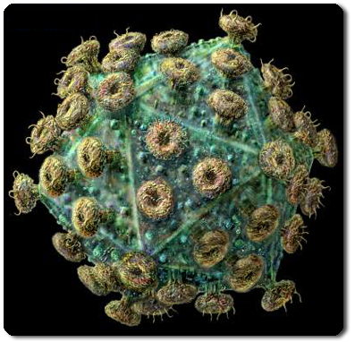 Viruses the Beginning…