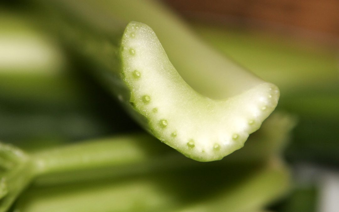 Transport of Goods in Plants