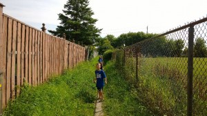 WP_20140811_10_57_41_Pro