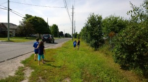 WP_20140811_11_02_39_Pro