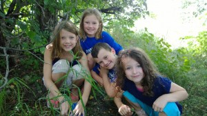 WP_20140811_11_08_45_Pro