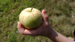 WP_20140811_11_14_51_Pro