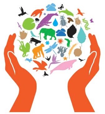 Describing Ecosystems – Part One