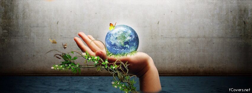 Describing Ecosystems – Part B